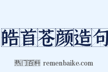 皓首苍颜造句是什么意思的图片
